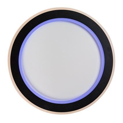 Rabalux - Светодиодный потолочный RGB-светильник с регулированием яркости LED/22W/230V 3000-6500K + дистанционное управление