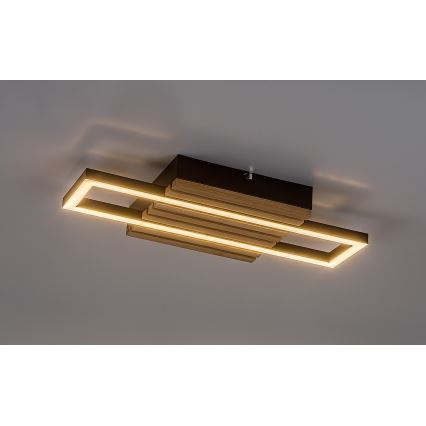 Rabalux - LED стельовий світильник LED/12Вт/230В 3000/4500/6000К