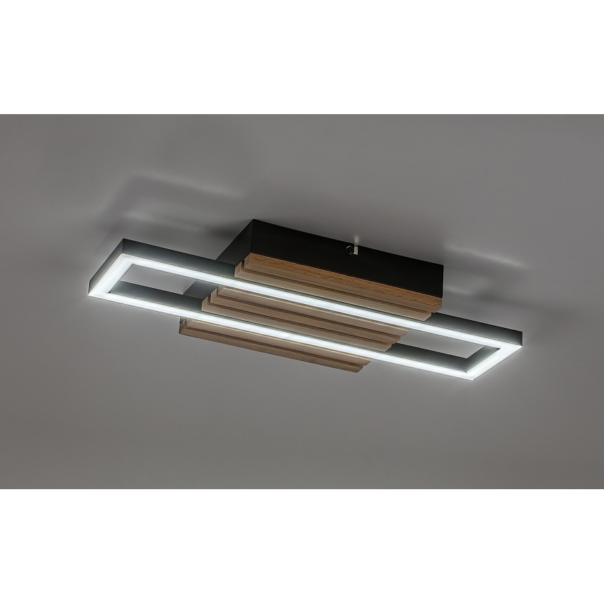 Rabalux - LED стельовий світильник LED/12Вт/230В 3000/4500/6000К