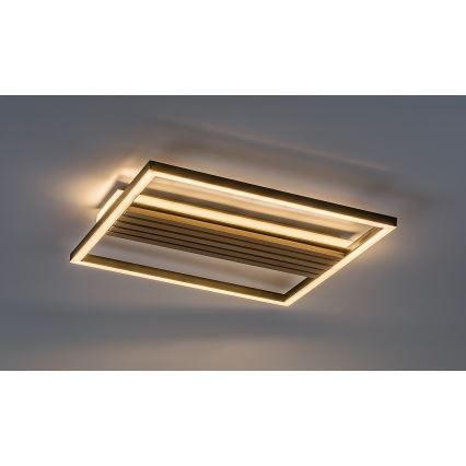 Rabalux - Світлодіодний стельовий світильник LED/30W/230V 3000/4500/6000K