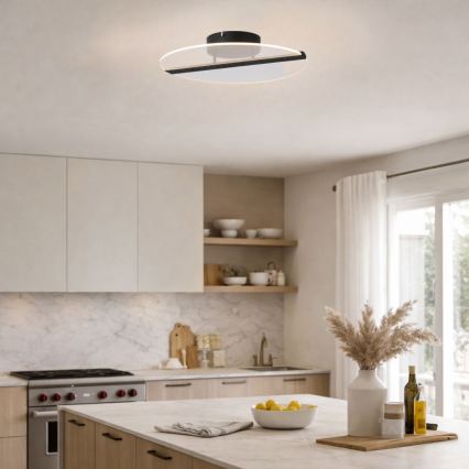 Rabalux - LED потолочный светильник LED/20W/230V 3000 Ø 41 см чёрный/прозрачный