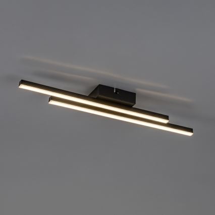 Rabalux - LED стельовий світильник LED/12W/230V 4000K чорний