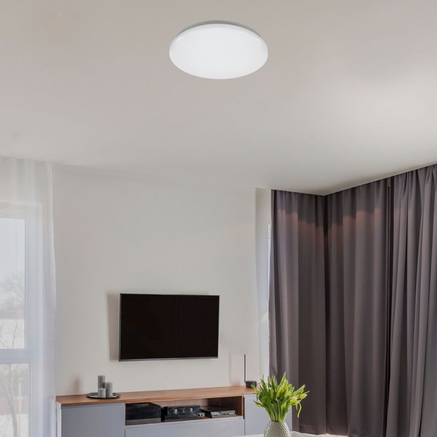 Rabalux - LED потолочный светильник LED/12Вт/230В 4000К Ø 25,5 см
