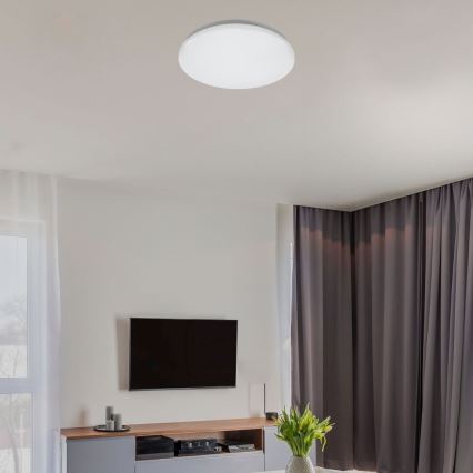 Rabalux - LED стельовий світильник LED/12 Вт/230 В 4000 К діаметр 25,5 см