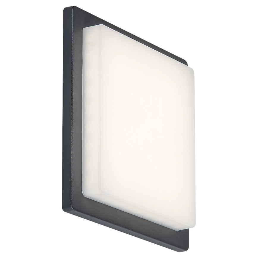Rabalux - Уличный светодиодный настенный светильник LED/8W/230V IP65