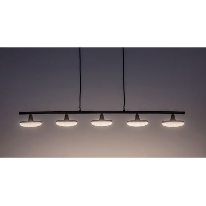 Rabalux - Світлодіодна підвісна люстра 5xLED/4W/230V 3000K