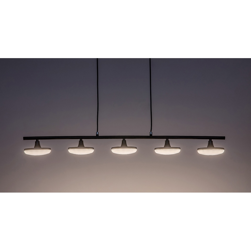 Rabalux - Світлодіодна підвісна люстра 5xLED/4W/230V 3000K