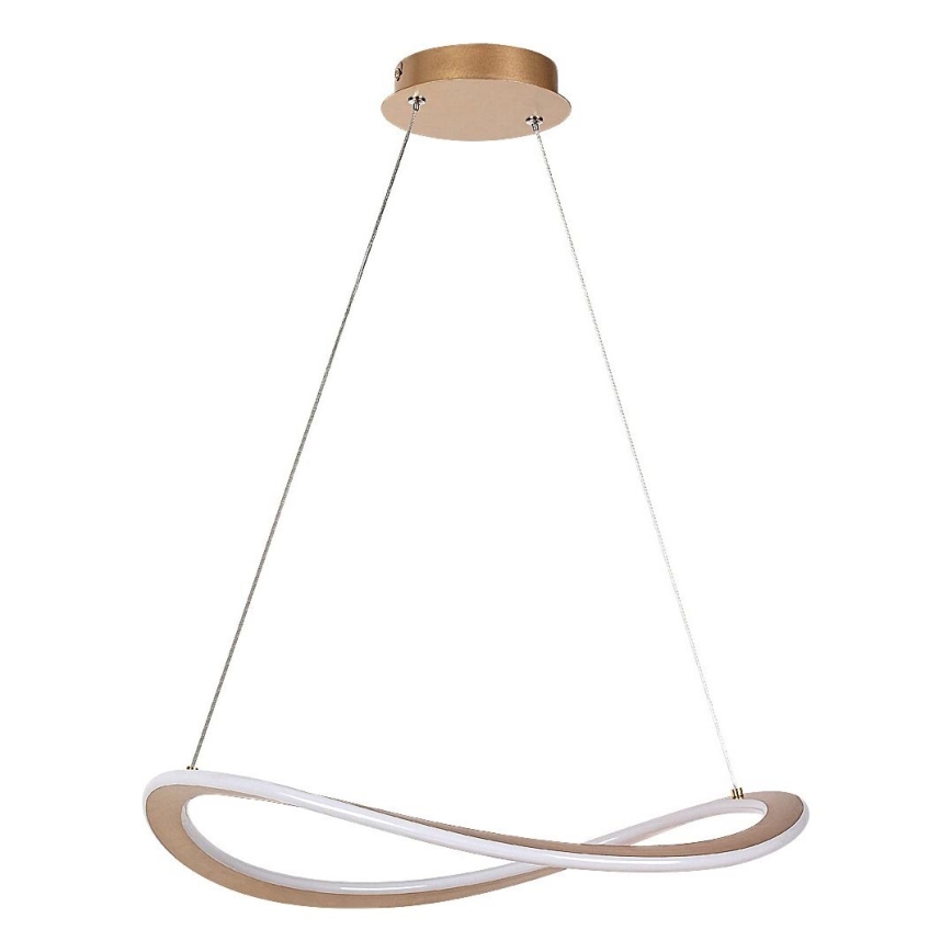 Rabalux - LED люстра на тросе LED/40W/230V 3000K