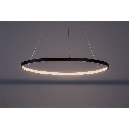 Rabalux - LED-люстра на тросі LED/55W/230V 3000K