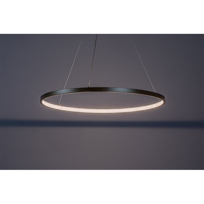 Rabalux - світлодіодна люстра на тросі LED/55W/230V 3000K