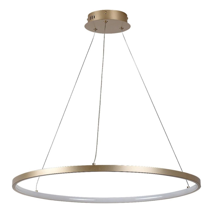 Rabalux - світлодіодна люстра на тросі LED/55W/230V 3000K