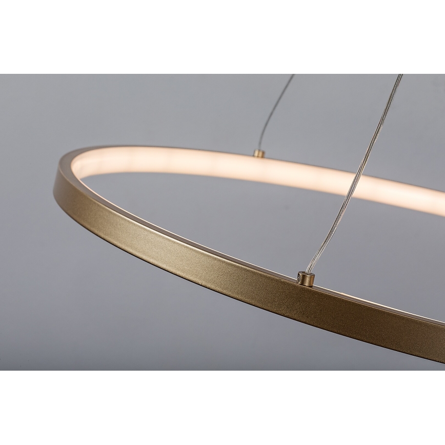 Rabalux - світлодіодна люстра на тросі LED/55W/230V 3000K
