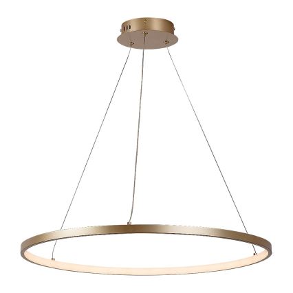 Rabalux - LED-люстра на тросе LED/55 Вт/230 В 3000 К