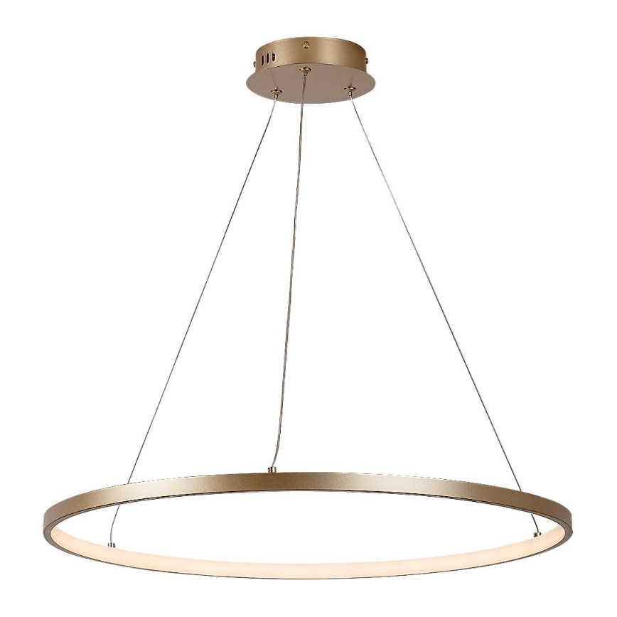 Rabalux - LED-люстра на тросе LED/55 Вт/230 В 3000 К