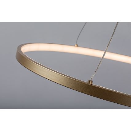 Rabalux - LED-люстра на тросе LED/55 Вт/230 В 3000 К