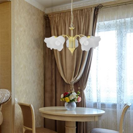 Rabalux 7235 - Люстра на цепи RAFAELLA 5xE14/40W/230V
