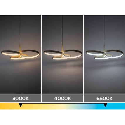 Rabalux - LED-люстра з регулюванням яскравості на тросі LED/50W/230V 3000-6500K + дистанційне керування