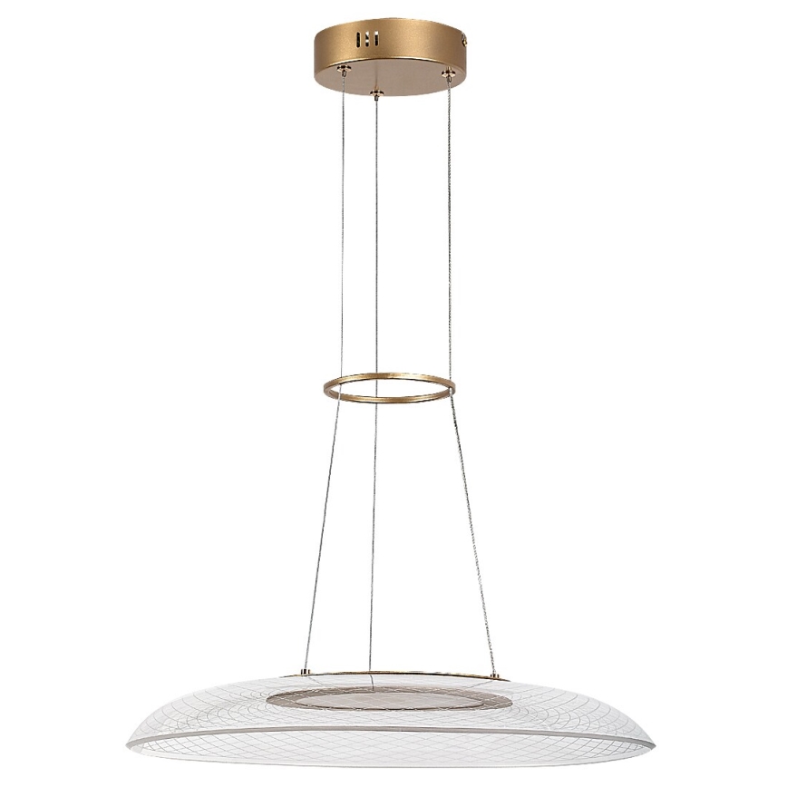 Rabalux - LED люстра на тросі LED/24W/230V 3000K