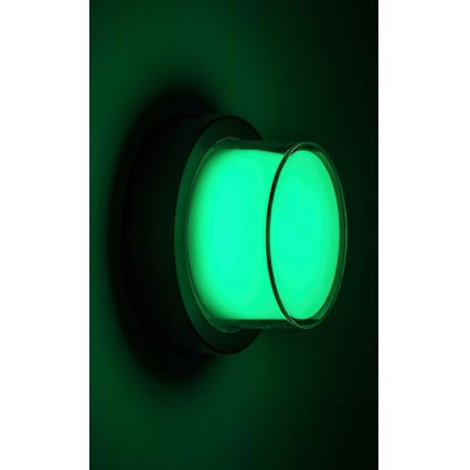 Rabalux - LED RGBW Вуличний настінний світильник з регулюванням яскравості LED/10W/230V IP54 Wi-Fi Tuya