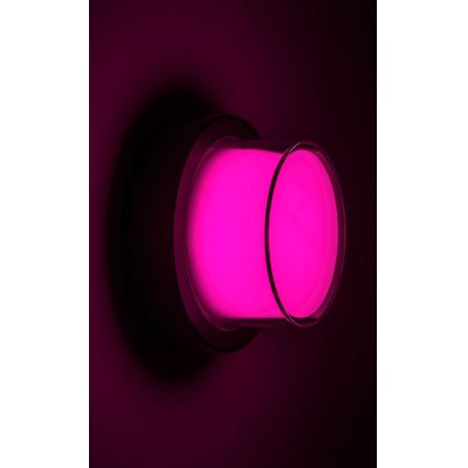 Rabalux - Уличный светодиодный настенный RGBW-светильник с регулированием яркости LED/10W/230V IP54 Wi-Fi Tuya