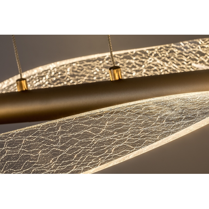 Rabalux - Підвісна LED-люстра на тросі LED/24 Вт/230 В/3000 К