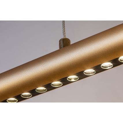 Rabalux - Підвісна LED-люстра на тросі LED/24 Вт/230 В/3000 К