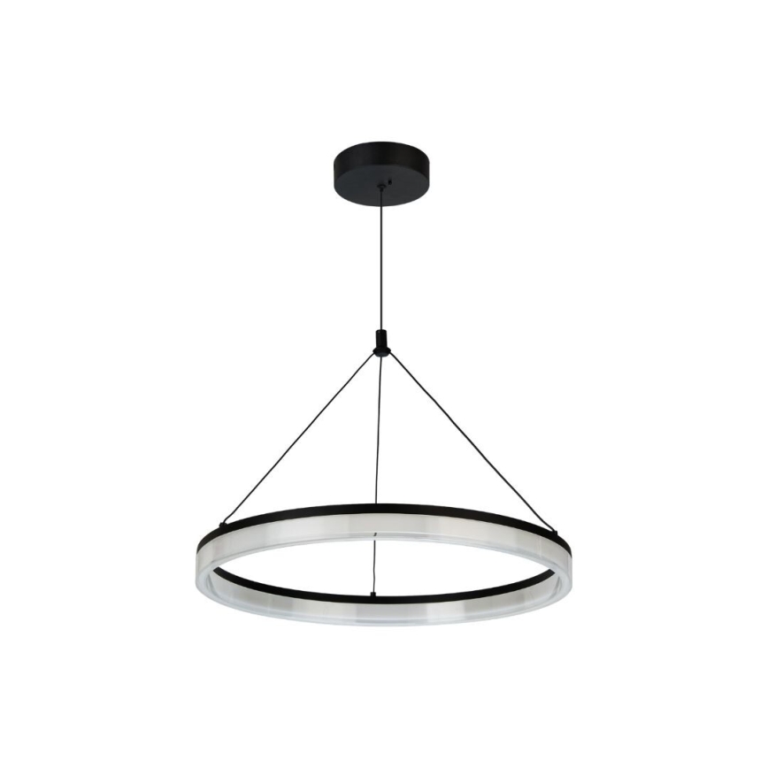 Rabalux - підвісна LED-люстра на тросі з регулюванням яскравості LED/24W/230V 3000-6500K + пульт дистанційного керування