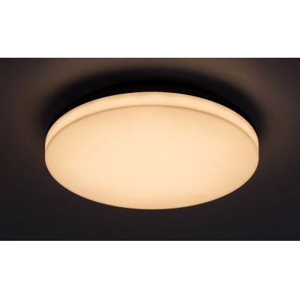 Rabalux - Світлодіодний стельовий світильник для ванної кімнати LED/24W/230V IP54