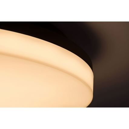 Rabalux - Світлодіодний стельовий світильник для ванної кімнати LED/24W/230V IP54