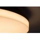 Rabalux - Світлодіодний стельовий світильник для ванної кімнати LED/24W/230V IP54
