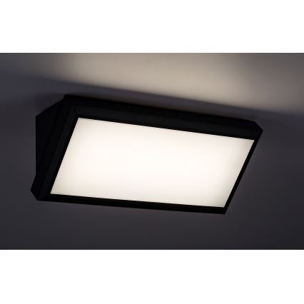 Rabalux - Вуличний світлодіодний настінний світильник LED/12W/230V IP54