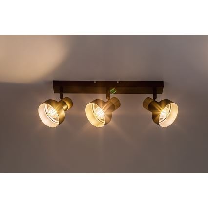 Rabalux - Точковий світильник 3xE14/15W/230V