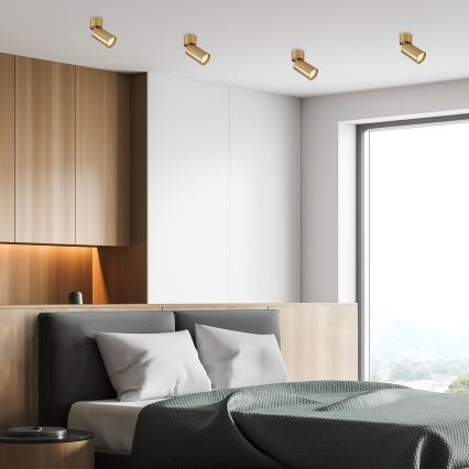 Rabalux - Точковий світильник 1xGU10/5W/230V золотий