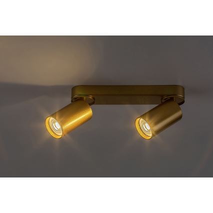 Rabalux - Точечный светильник 2xGU10/5W/230V золотистый
