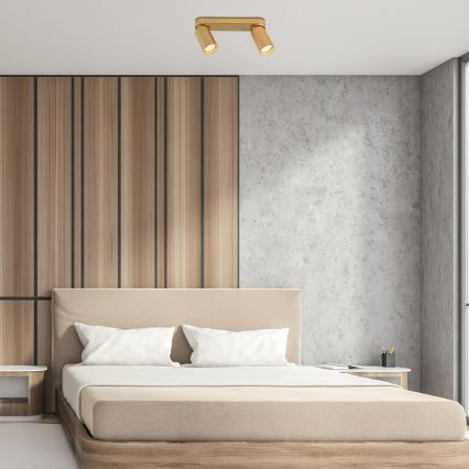 Rabalux - Точечный светильник 2xGU10/5W/230V золотистый