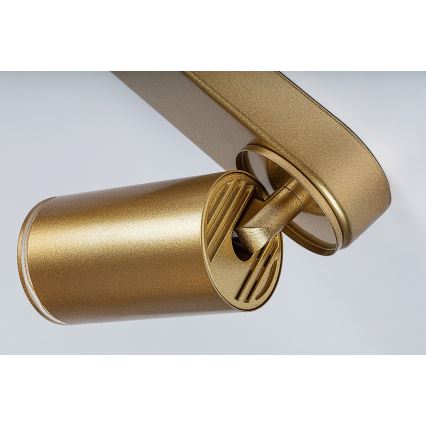 Rabalux - Точковий світильник 4xGU10/5W/230V золотий