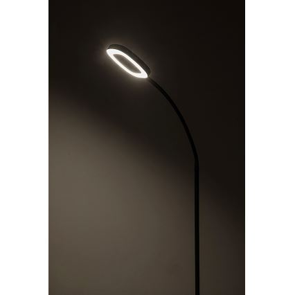 Rabalux - Светодиодный сенсорный торшер с регулированием яркости LED/11W/230V 3000K