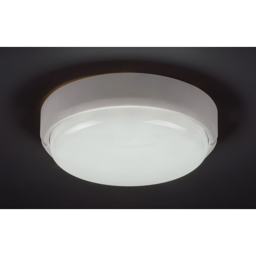 Rabalux - Вуличний світлодіодний стельовий світильник LED/15W/230V IP54 білий