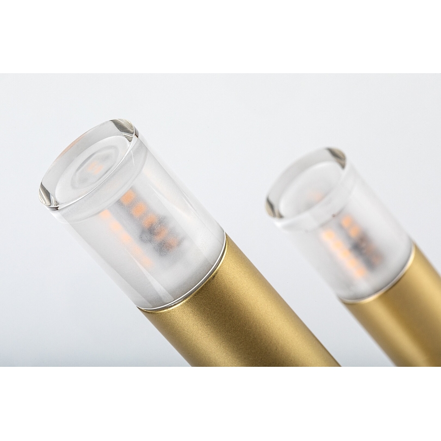 Rabalux - Настольная лампа 3xG9/5W/230V золотистый