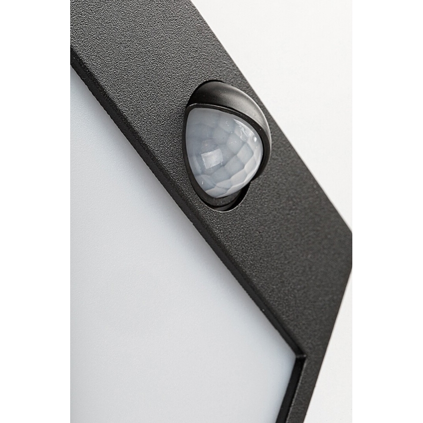 Rabalux - LED Зовнішній настінний світильник з датчиком LED/12W/230V чорний IP44
