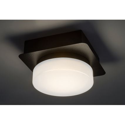 Rabalux - Светодиодный потолочный светильник для ванной комнаты LED/5W/230V IP44 4000K черный