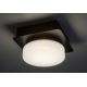 Rabalux - Світлодіодний стельовий світильник для ванної кімнати LED/5W/230V IP44 4000K чорний