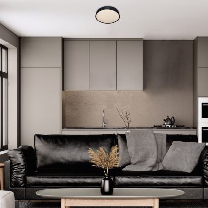 Rabalux - Світильник стельовий LED/18W/230V IP44 4000K діам. 28 см чорний