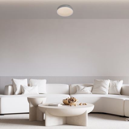 Rabalux - Світильник стельовий LED/18W/230V IP44 4000K сріблястий діаметр 28 см