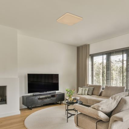 Rabalux - стельовий світильник LED із датчиком, 12 Вт/230 В, 4000 К, 28×28 см