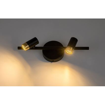 Rabalux - Світлодіодний настінний точковий світильник 2xLED/3W/230V 4000K