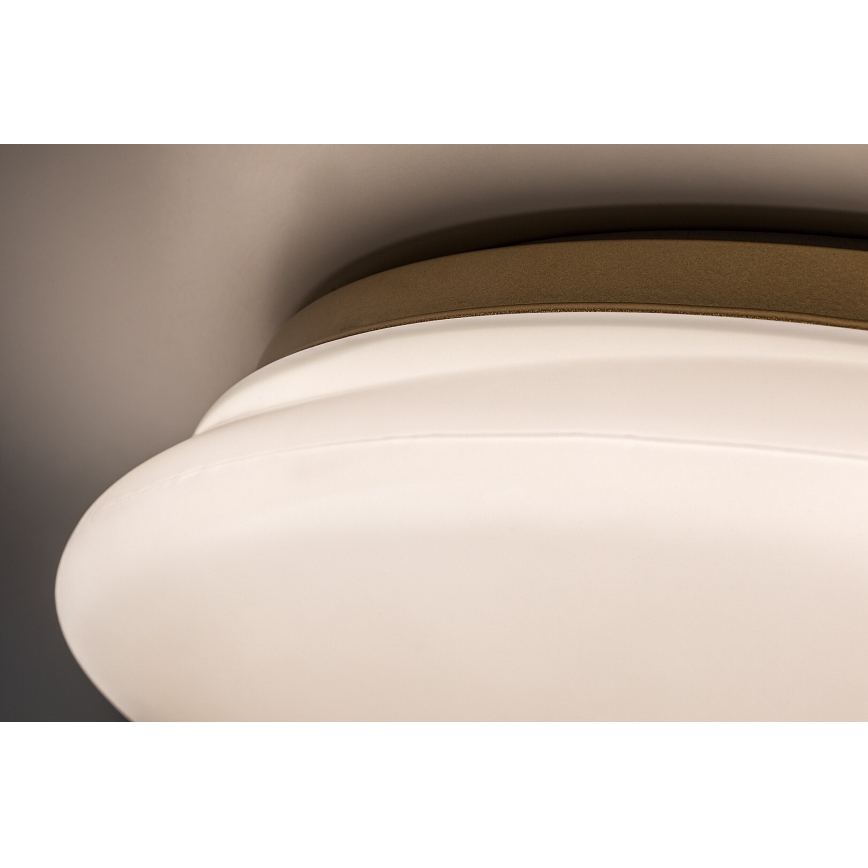 Rabalux - стельовий LED‑світильник для ванної кімнати, 24 Вт/230 В, IP44, діаметр 41 см