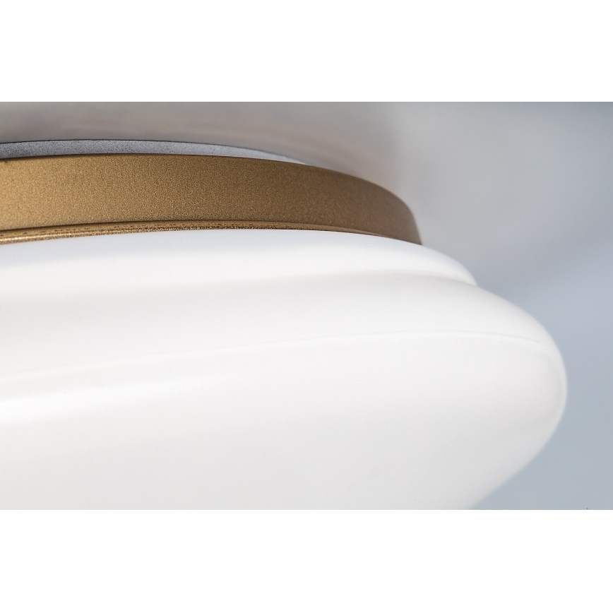 Rabalux - стельовий LED‑світильник для ванної кімнати, 24 Вт/230 В, IP44, діаметр 41 см
