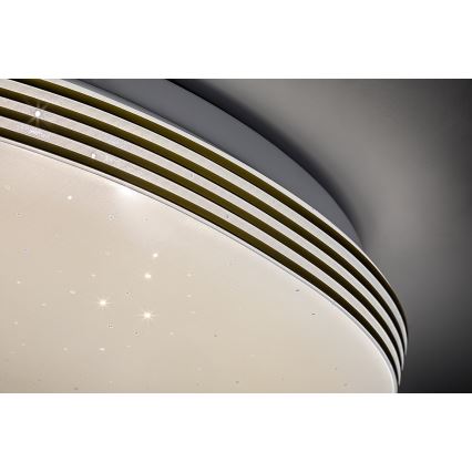 Rabalux - LED стельовий світильник для ванної кімнати LED/18W/230V IP44, діаметр 34 см