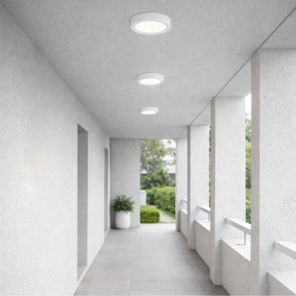 Rabalux - LED-стельовий світильник для ванної кімнати LED/24W/230V діам. 22 см IP44 білий
